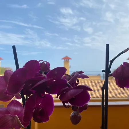 Brisa De Carvajal Apartment Benalmadena